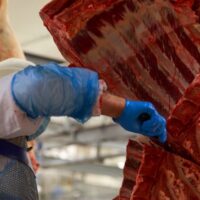 SlaughterhouseWorker