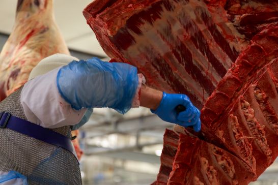 The USDA Plan to Increase Slaughterhouse Line Speeds: Could It Endanger Workers?